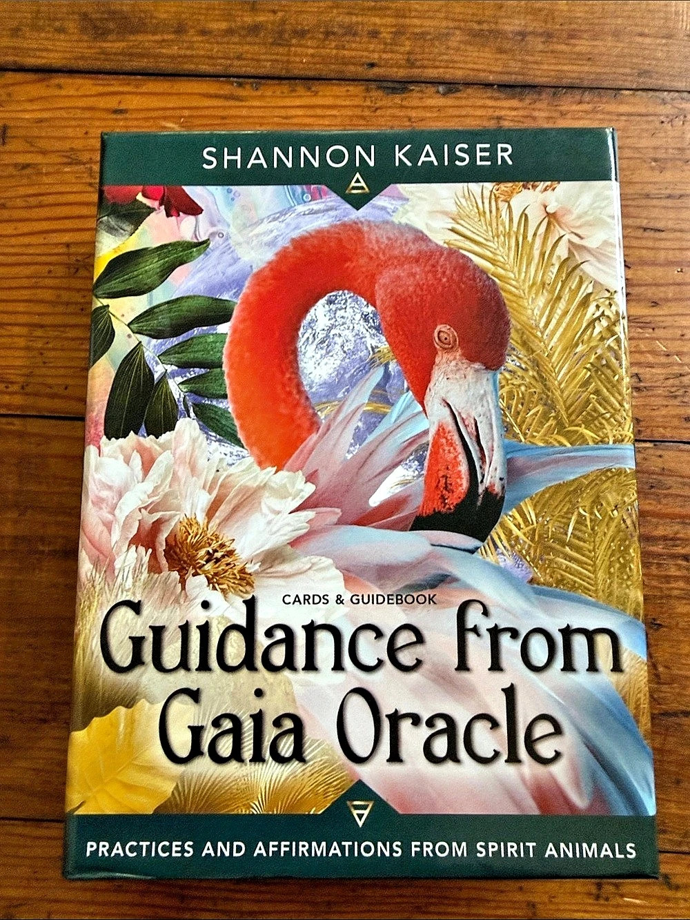 Guidance From Gaia Oracle Cards